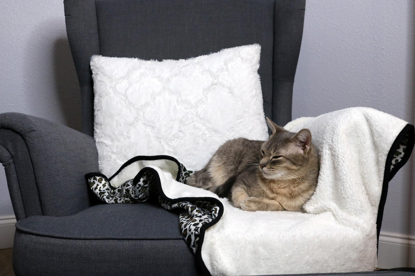 Luxury Pet Blanket