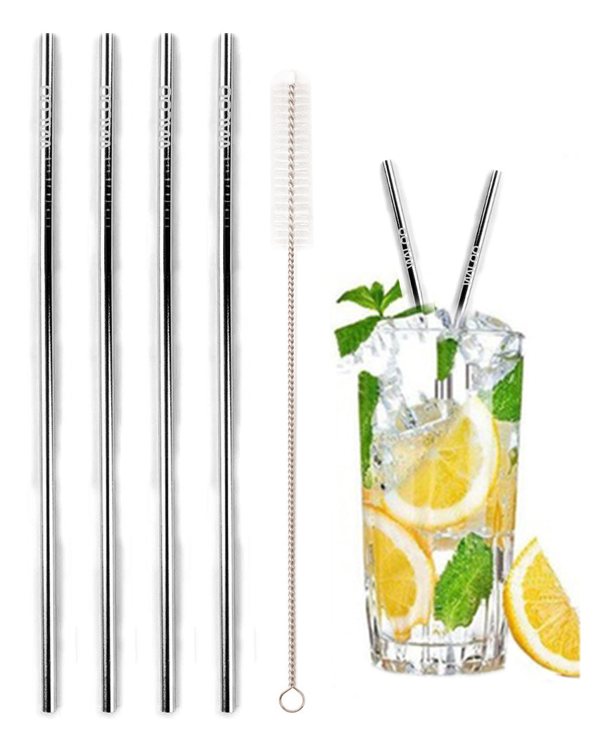 Silver Stainless Steel Drinking Straws (4 Pack)