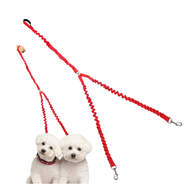 Double Dog Bungee Leash