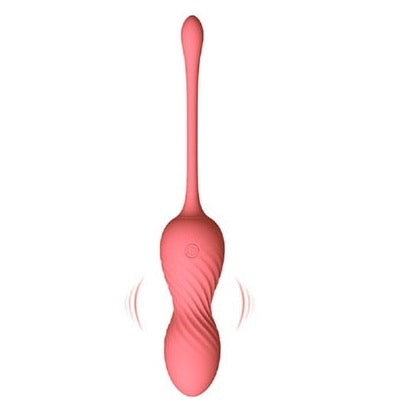 Kegel Ball Vibrator G Spot Wireless Kegel Exercisers Vibrating Egg W/ Remote