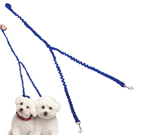 Double Dog Bungee Leash