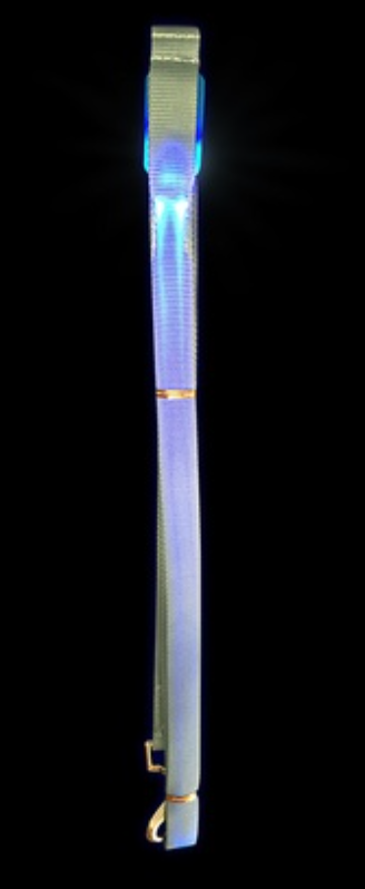 LED Dog Leash
