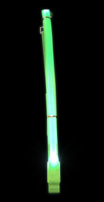 LED Dog Leash
