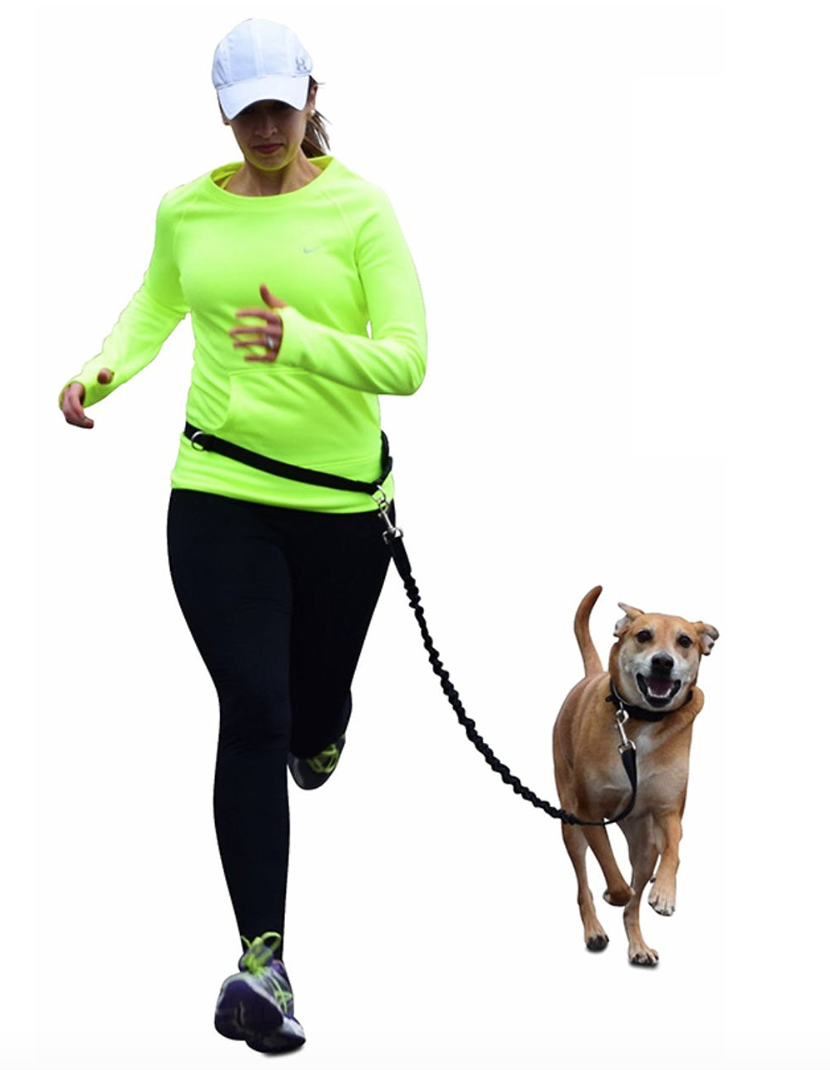 Waloo Hands Free Running Bungee  Leash