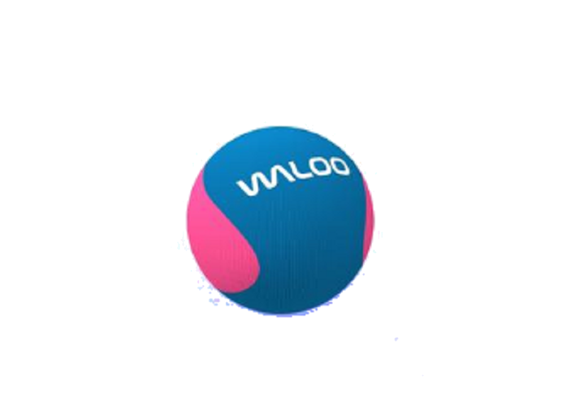 Waloo Water fun Skip Ball