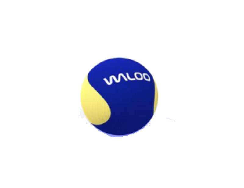 Waloo Water fun Skip Ball